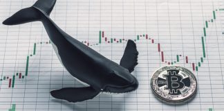 Bitcoin May Be Preparing for a Relocate to $10,000 as Upwards Momentum Continues Bitcoin May Be Preparing for a Relocate to $10,000 as Upwards Momentum Continues