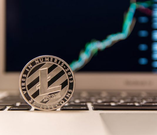 Can Litecoin Halving Glow Crypto Alt Season and Increase Bitcoin Cost Greater?