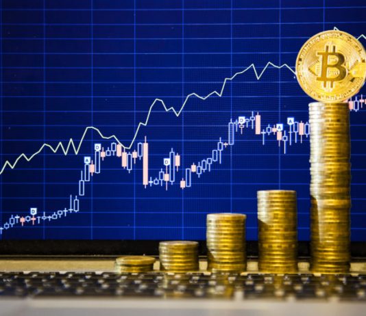 Crypto Assets Compared to Dot Com Domains Reveals Unrivaled Development Efficiency