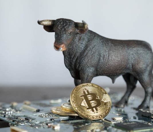 Bitcoin May Quickly Set Fresh Year-To-Date Highs, Presuming it has the ability to Rise Previous $8,800