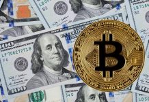 Bitcoin cost expert anticipates cryptocurrency will reach record high in 6 months in spite of current crash