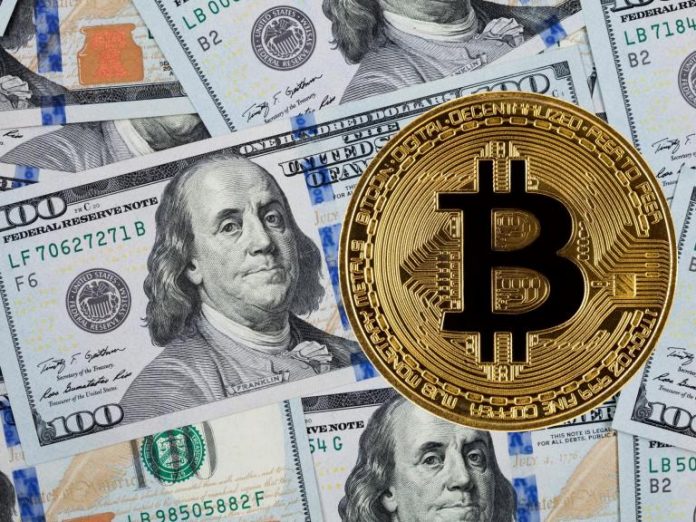 Bitcoin cost expert anticipates cryptocurrency will reach record high in 6 months in spite of current crash