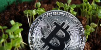 The Bitcoin Network is More Safe and Greener Than Ever