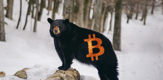 Expert: Bitcoin Bearish Candle Light Might Spell More Losses