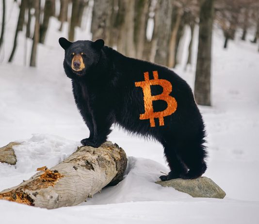Expert: Bitcoin Bearish Candle Light Might Spell More Losses