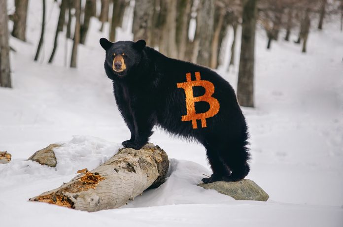 Expert: Bitcoin Bearish Candle Light Might Spell More Losses