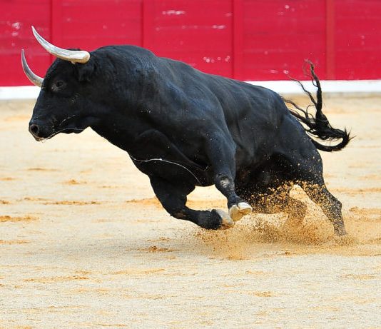 Cardano (ADA) Leads Crypto Market With Staggering 24% Gain in 4 Days