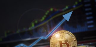 Bitcoin Rate Supports Around $10,700, However Experts Think a Rise Towards $11,500 impends