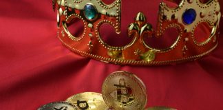 Crypto Diverges: Bitcoin Supremacy at 60%, Altcoins Face Major Capitulation Occasion