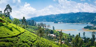 Oxfam Teams Up With Blockchain Start-up to Ovehaul Sri Lankan Farming Insurance Coverage