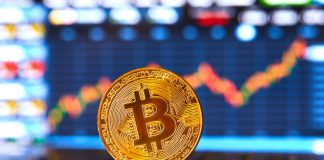 Crypto Expert: Bitcoin Technical Sign Has A Hard Time At This Variety Prior To Bull Run