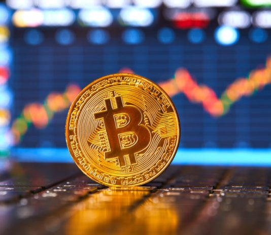 Crypto Expert: Bitcoin Technical Sign Has A Hard Time At This Variety Prior To Bull Run