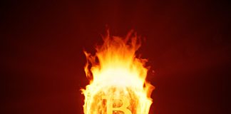 Bitcoin Plunges Towards $11,000 as Bull Pattern Reverses; Elements & & Trends Behind This Move Bitcoin Plunges Towards $11,000 as Bull Pattern Reverses; Elements & & Trends Behind This Move