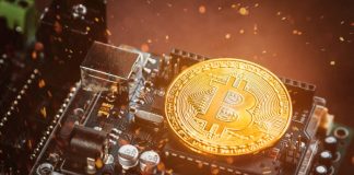 Crypto Execs: Trump’s Bitcoin Quip is the “Greatest Bull Signal” for BTC Ever