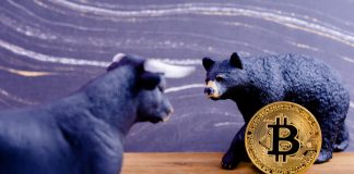 Bitcoin Drop Might Continue Through 2019 as Bears Holler; Here’s Why