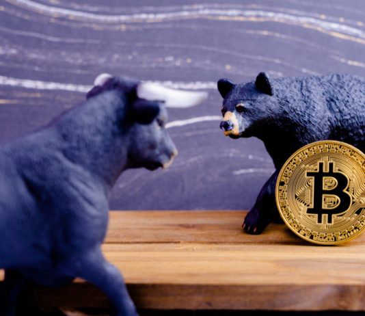 Bitcoin Drop Might Continue Through 2019 as Bears Holler; Here’s Why Bitcoin Drop Might Continue Through 2019 as Bears Holler; Here’s Why
