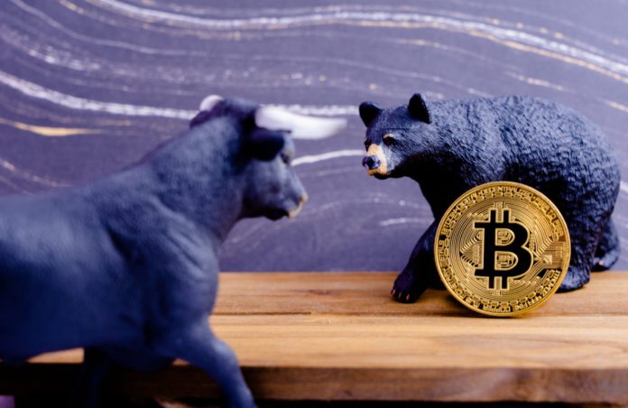 Bitcoin Drop Might Continue Through 2019 as Bears Holler; Here’s Why