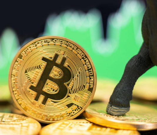 Bitcoin is Becoming Shop of Worth amongst United States Investors: Former Uber Officer