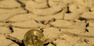 Expert Who Anticipated Bitcoin Bottom States It Will Not Discover New Lows Expert Who Anticipated Bitcoin Bottom States It Will Not Discover New Lows