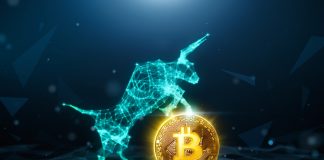 Regulative Pressure In The Middle Of Libra Crypto Debate Hasn’t Shaken Bitcoin Bulls