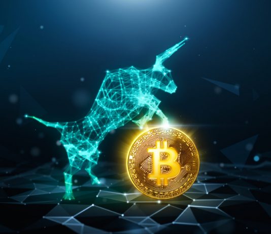 Regulative Pressure In The Middle Of Libra Crypto Debate Hasn’t Shaken Bitcoin Bulls