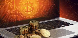 Why Do Bitcoin & & Crypto Make Good Sense for Millennials? Ex-Goldman Sachs Officer Discusses Why Do Bitcoin & & Crypto Make Good Sense for Millennials? Ex-Goldman Sachs Officer Discusses