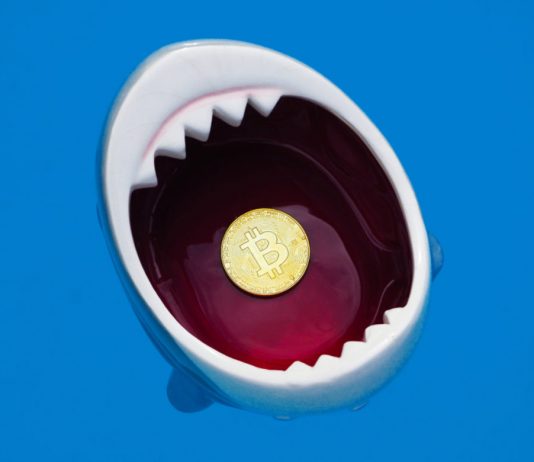 ‘Pity on You,’ Shark Tank Judge Informs Bitcoin Bull Pompliano