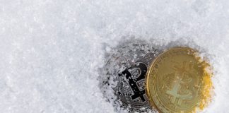 Indian Govt to Pitch Bitcoin Restriction Costs in January