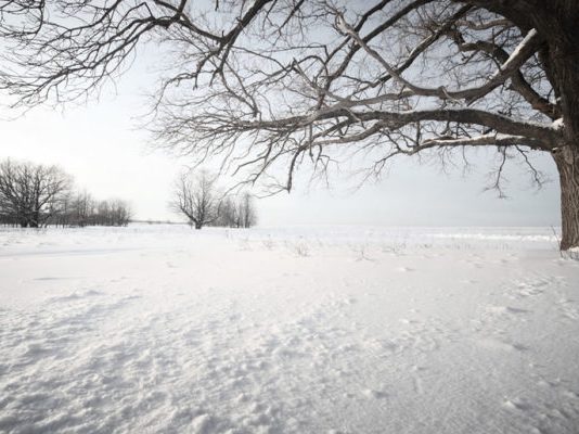 Altcoins Wiped Out as Crypto Winter Season Threatens to Return