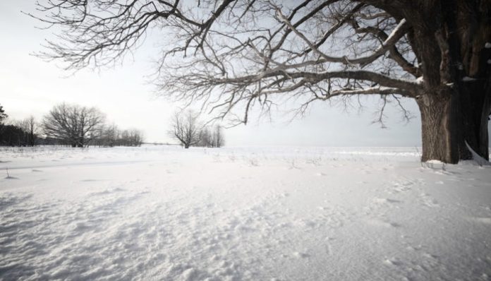Altcoins Wiped Out as Crypto Winter Season Threatens to Return Altcoins Wiped Out as Crypto Winter Season Threatens to Return