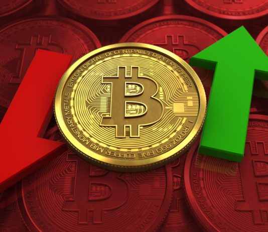 Crypto Expert: Bitcoin Rate Might Be Trapped in Tight Variety Till Halving