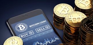 Bitcoin Money Identified a ‘Injured Animal’ However BCH Might Still Rise 150%
