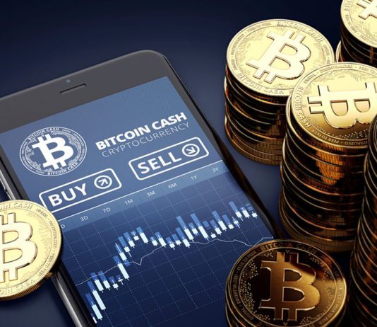 Bitcoin Money Identified a ‘Injured Animal’ However BCH Might Still Rise 150%