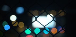 Altcoin Chainlink On-Chain Activity Makes It A Standout In Crypto Market