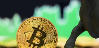 Crypto Expert: Current Bitcoin Rate Battle Comparable to 2017 Run