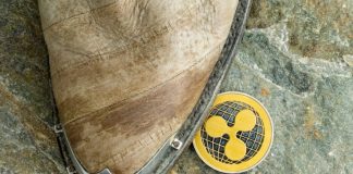 Ripple Cost (XRP) Dealing With Uphill Job: Fresh Decrease Likely