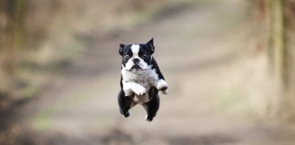Bitcoin Leaps as Escalating Trade War Stimulates Safe-Haven Run Bitcoin Leaps as Escalating Trade War Stimulates Safe-Haven Run