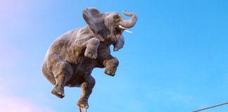 Bitcoin Steady as US-China Trade Conflict Hints Willpower