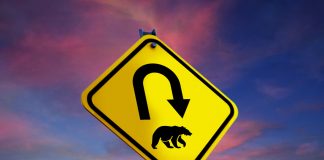 Ripple Rate (XRP) Bearish Circumstance Active: BTC & & ETH Nosedives