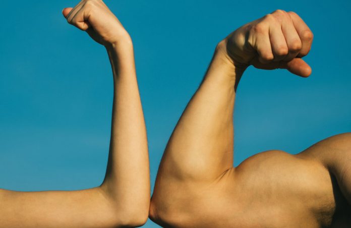 Bloomberg Newsletter Slams “Frustrating” Bitcoin Evangelists