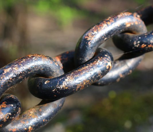 Twitter CEO: Bitcoin’s Durability and Strength Makes it Prime “Currency for the Web” Prospect