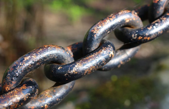 Twitter CEO: Bitcoin’s Durability and Strength Makes it Prime “Currency for the Web” Prospect