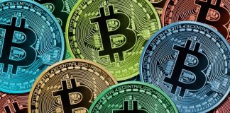 Bitcoin newest: Who has lost big amounts of loan over the cryptocurrency?