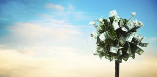 Crypto Business Owner Pledges Match of Presidential Prospect’s Universal Basic Earnings Plan