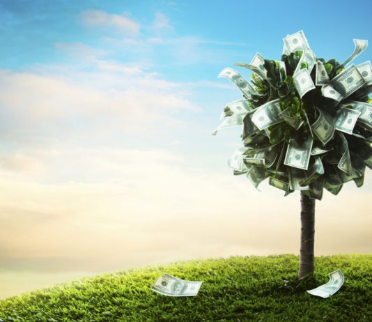 Crypto Business Owner Pledges Match of Presidential Prospect’s Universal Basic Earnings Plan