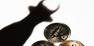 Bitcoin Financier: We’ll Never ever See $10 K Once Again After Next Cycle Low