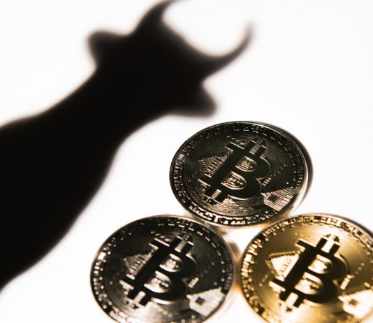 Bitcoin Financier: We’ll Never ever See $10 K Once Again After Next Cycle Low