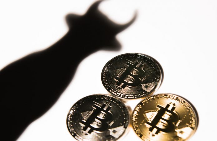 Bitcoin Financier: We’ll Never ever See $10 K Once Again After Next Cycle Low