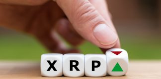 XRP Breaks Listed Below Bearish Market Bottom, Will The Rest of Crypto Follow? XRP Breaks Listed Below Bearish Market Bottom, Will The Rest of Crypto Follow?