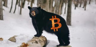 Bitcoin Booming Market May Have Ended, How Low Will BTC Go? Bitcoin Booming Market May Have Ended, How Low Will BTC Go?